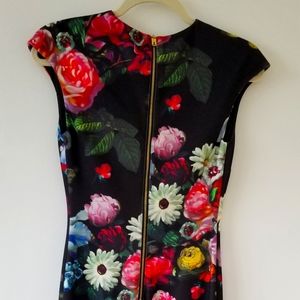 Ted Baker dress sz xs